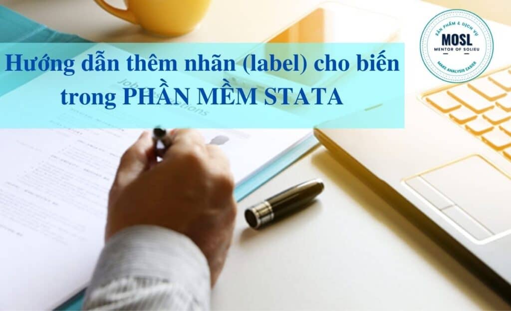 Cách đặt tên biến trong Stata đơn giản và nhanh gọn #S