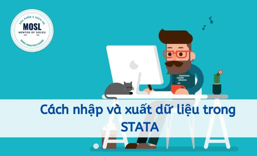 Cách nhập dữ liệu vào Stata trong 4 bước