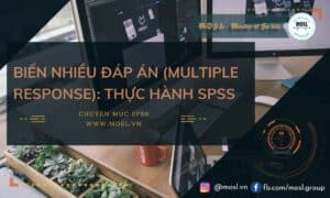 Bien-nhieu-dap-an-Thuc-hanh-SPSS-
