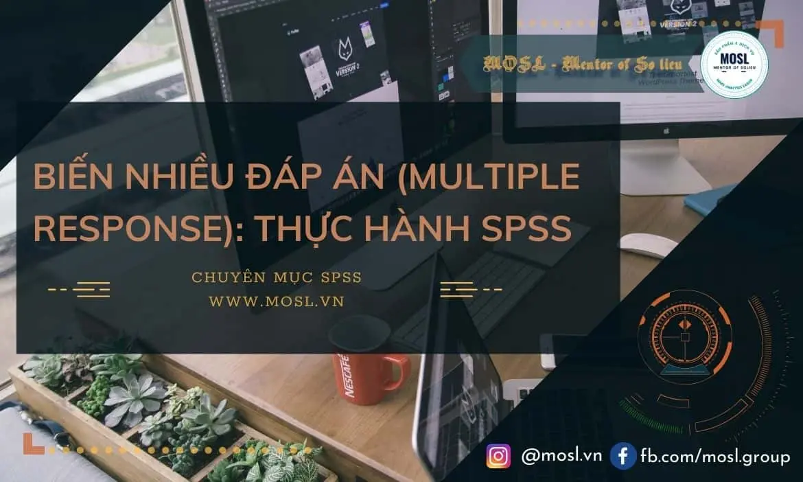 Biến nhiều đáp án (Multiple Response): Thực hành SPSS