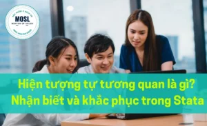 Hiện tượng tự tương quan là gì