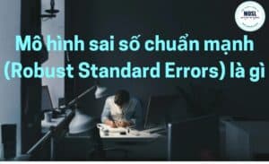 mô hình sai số chuẩn mạnh robust standard errors là gì