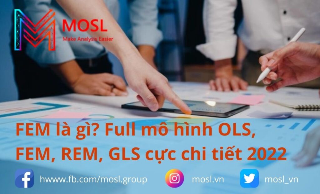 FEM là gì? Full mô hình OLS, FEM, REM, GLS cực chi tiết
