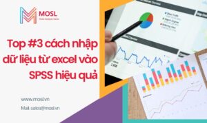 Top 3 cach nhap du lieu excel vao spss 1