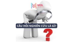 Câu hỏi nghiên cứu khoa học là gì?