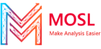 Logo Footer