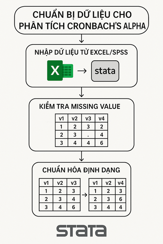 Hình minh họa chuẩn bị dữ liệu trong Stata