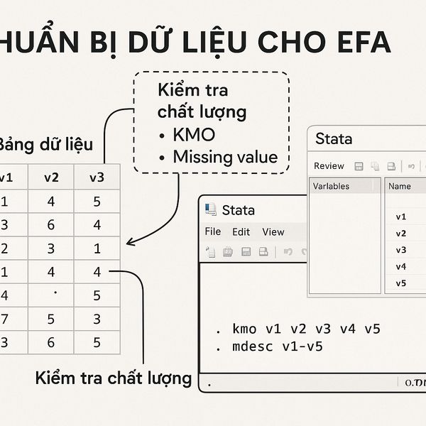 Hình minh họa chuẩn bị dữ liệu cho EFA trên Stata