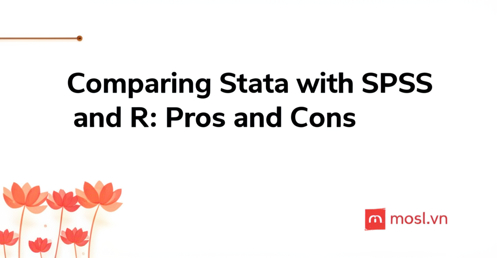 So sánh Stata với SPSS và R: Ưu nhược điểm và lựa chọn thông minh