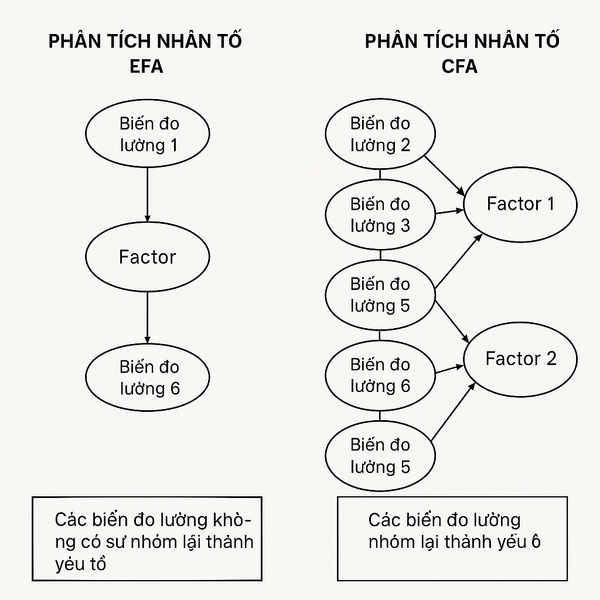 Hình minh họa