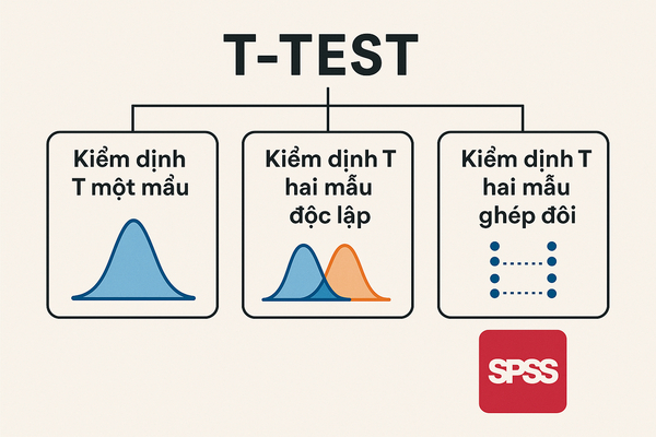 t test trong spss la gi khai niem co ban va phan loai