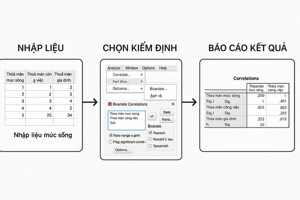 vi du thuc te phan tich du lieu bang spss tu a den z
